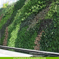 wholesale vertical customized artificial plastic green wall for sale